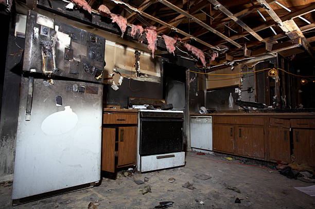 Affordable Fire Damage Removal solutions in Champlin, MN